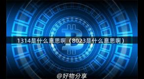 1314是什么意思啊（8023是什么意思啊）