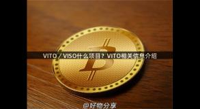 VITO／VISO什么项目？VITO相关信息介绍