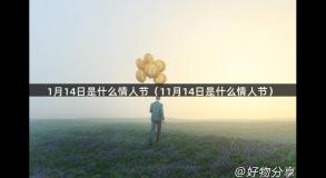 1月14日是什么情人节（11月14日是什么情人节）