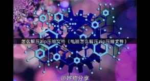 怎么解压zip压缩文件（电脑怎么解压zip压缩文件）