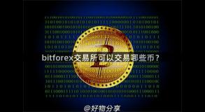 bitforex交易所可以交易哪些币？