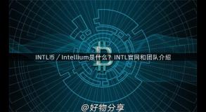 INTL币／Intellium是什么？INTL官网和团队介绍