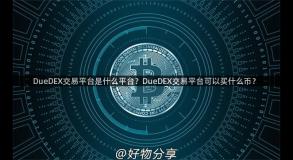 DueDEX交易平台是什么平台？DueDEX交易平台可以买什么币？