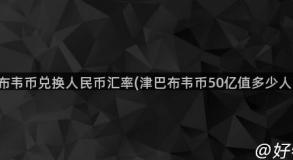 津巴布韦币兑换人民币汇率(津巴布韦币50亿值多少人民币)