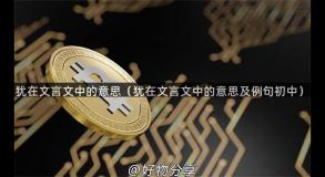 犹在文言文中的意思（犹在文言文中的意思及例句初中）