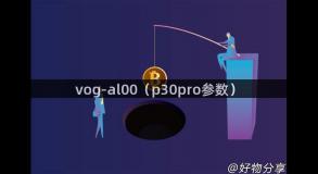 vog-al00（p30pro参数）