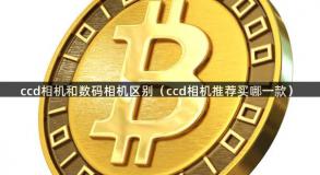 ccd相机和数码相机区别（ccd相机推荐买哪一款）