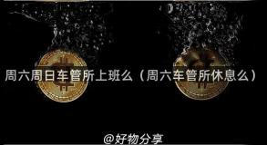 周六周日车管所上班么（周六车管所休息么）