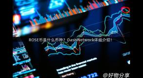 ROSE币是什么币种？OasisNetwork详细介绍！