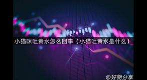 小猫咪吐黄水怎么回事（小猫吐黄水是什么）