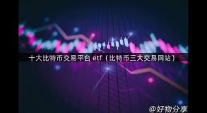 十大比特币交易平台 etf（比特币三大交易网站）