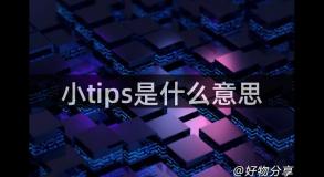 小tips是什么意思