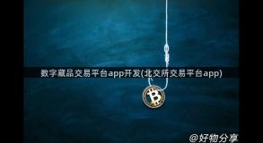 数字藏品交易平台app开发(北交所交易平台app)