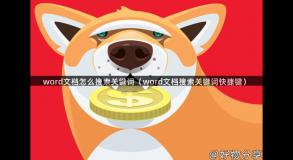 word文档怎么搜索关键词（word文档搜索关键词快捷键）