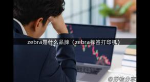 zebra是什么品牌（zebra标签打印机）