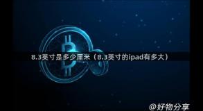 8.3英寸是多少厘米（8.3英寸的ipad有多大）