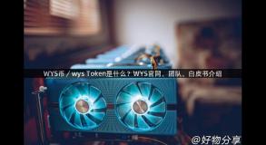 WYS币／wys Token是什么？WYS官网、团队、白皮书介绍