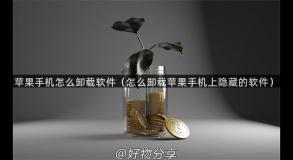 苹果手机怎么卸载软件（怎么卸载苹果手机上隐藏的软件）