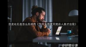 恐龙化石是怎么形成的（为什么恐龙灭绝后人类才出现）