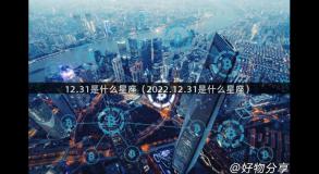 12.31是什么星座（2022.12.31是什么星座）