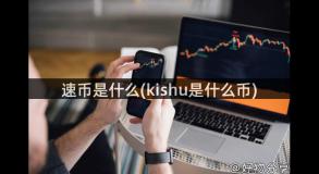 速币是什么(kishu是什么币)