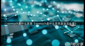 somuch是什么意思（somuch是什么意思英语怎么读）