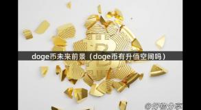 doge币未来前景（doge币有升值空间吗）