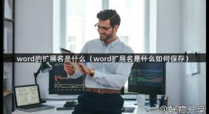 word的扩展名是什么（word扩展名是什么如何保存）