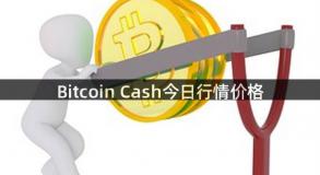 Bitcoin Cash今日行情价格