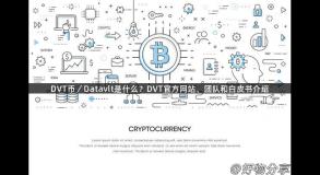 DVT币／Datavlt是什么？DVT官方网站、团队和白皮书介绍