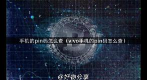 手机的pin码怎么查（vivo手机的pin码怎么查）