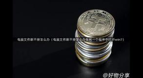 电脑文件删不掉怎么办（电脑文件删不掉怎么办在另一个程序中打开win7）