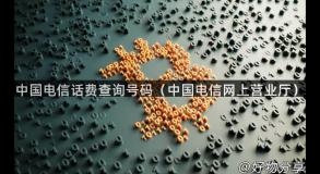 中国电信话费查询号码（中国电信网上营业厅）