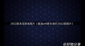 2022款本田思域图片（奥迪a4l新车报价2022款图片）