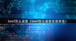 beef怎么读音（beef怎么读音发音英语）