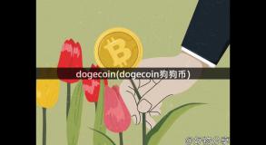 dogecoin(dogecoin狗狗币)