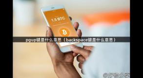 pgup键是什么意思（backspace键是什么意思）