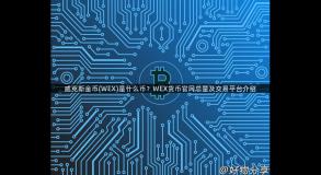 威克斯金币(WEX)是什么币？WEX货币官网总量及交易平台介绍