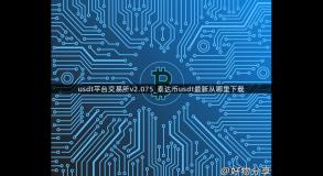 usdt平台交易所v2.075_泰达币usdt最新从哪里下载