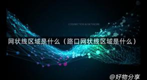 网状线区域是什么（路口网状线区域是什么）