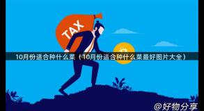 10月份适合种什么菜（10月份适合种什么菜最好图片大全）