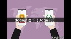 doge是啥币（Doge 币）