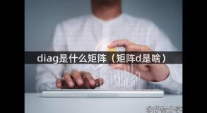 diag是什么矩阵（矩阵d是啥）