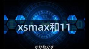 xsmax和11