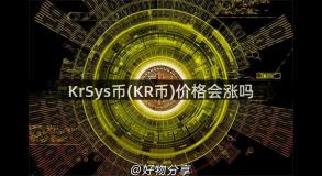 KrSys币(KR币)价格会涨吗