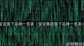 宝洁旗下品牌一览表（宝洁集团旗下品牌一览表）