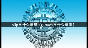 slip是什么意思（gloves是什么意思）