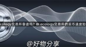 BI ecology交易所靠谱吗？BI ecology交易所的买币速度如何？