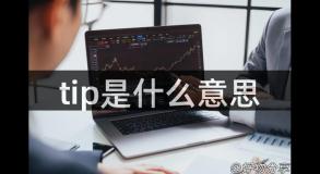 tip是什么意思