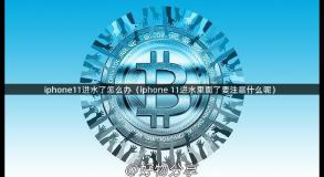 iphone11进水了怎么办（iphone 11进水里面了要注意什么呢）